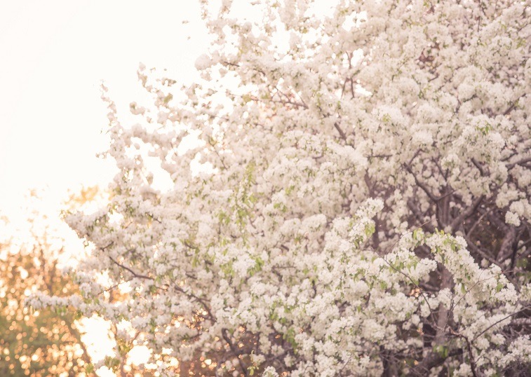 Learn how little things in life can help with struggles