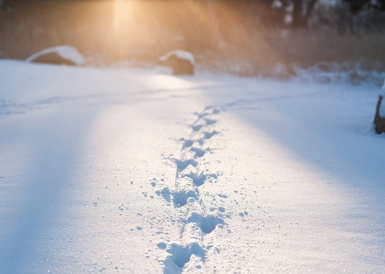 Nurse navigator: Cancer survivors don’t walk alone