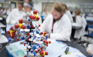 High school students work with a DNA model during a genetics education workshop in the Sanford PROMISE Lab.