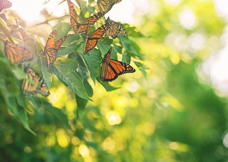 Holding on to hope