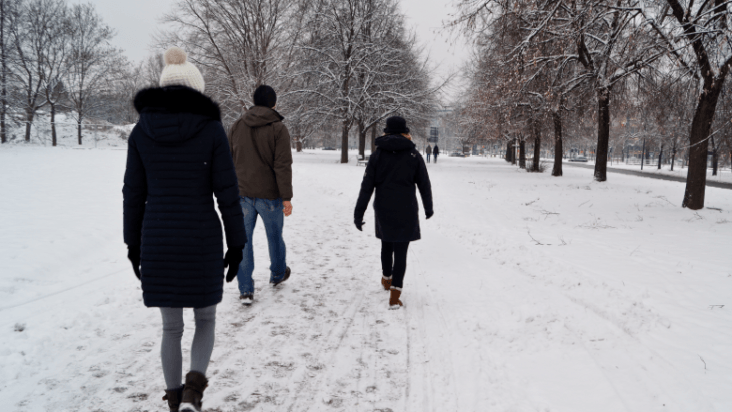 winter falls: people walking in snow