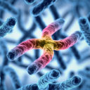 chromosome