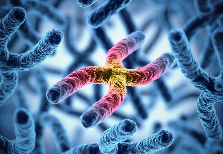 chromosome
