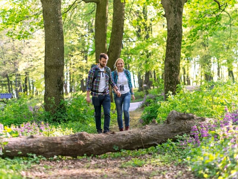 Prevent Lyme disease and other illnesses ticks can carry