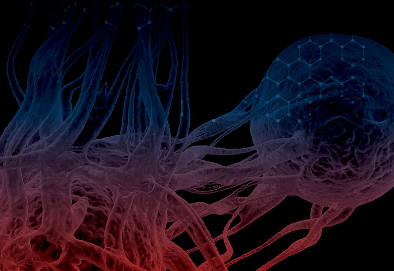 Imagenetics image for breast cancer lecture