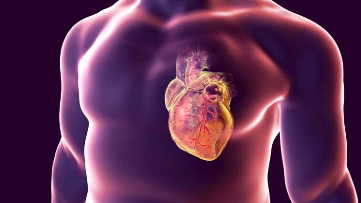 precision medicine in a graphic of heart inside man's chest