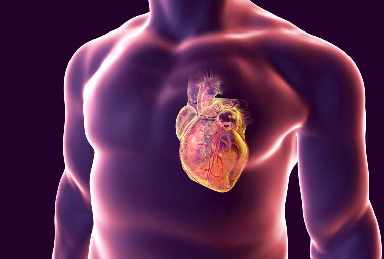 Precision medicine in cardiovascular care is catered to you