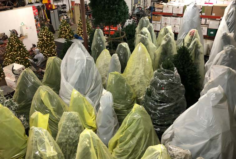 Trees in storage.