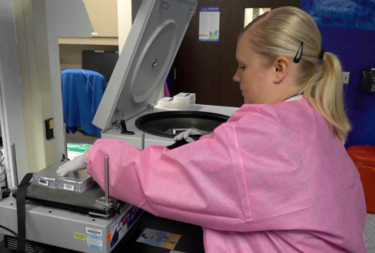 Fricke loads DNA samples onto a machine that suspends the DNA from a liquid solution.