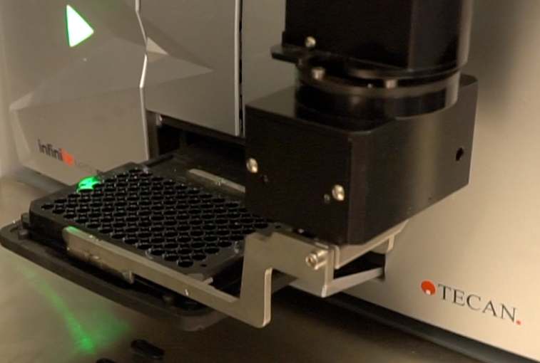 A robot loads a tray of DNA samples into a machine that will measure how much DNA is in it.