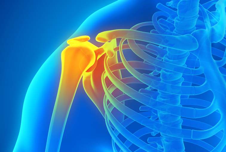 rotator cuff