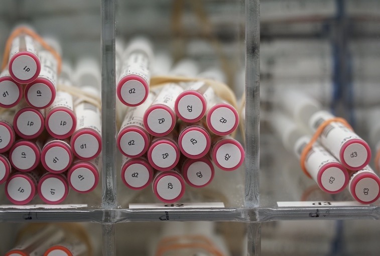 Close-up of test tubes organized on shelves.