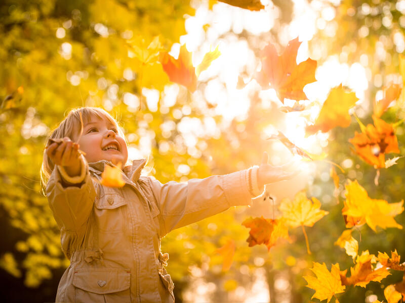 Love fall colors but hate fall allergies? Don’t just suffer