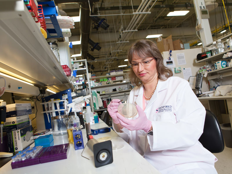 A Sanford researcher in a white coat and pink gloves works with a petri dish in her lab at Sanford Research.