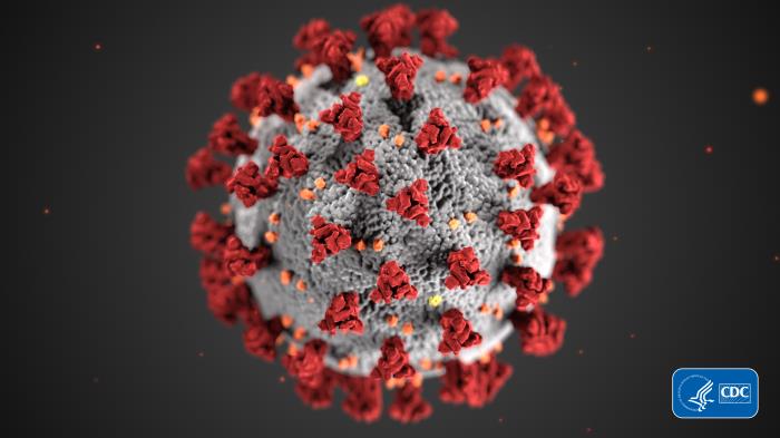 Coronavirus under a microscope looks like a gray ball covered with red crown-like spikes.