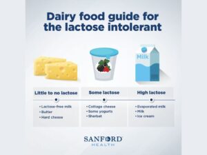 Sanford Health illustration of cheese, yogurt and milk with text: "Dairy food guide for the lactose intolerant. Little to no lactose: lactose-free milk, butter, hard cheese. Some lactose: cottage cheese, some yogurts, sherbet. High lactose: evaporated milk, milk, ice cream."
