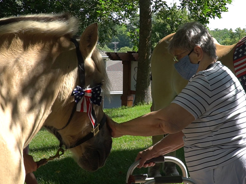 Equine therapy boosts spirits with horse power