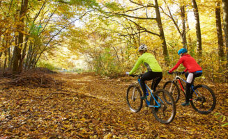 Full length of two female cyclists enjoying mountain biking together in the forest.