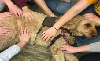 Service dog helps adolescent patients with mental health