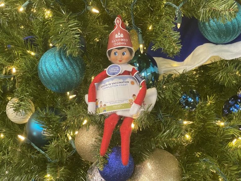 Print vaccination cards and badges for your Elf on the Shelf Sanford