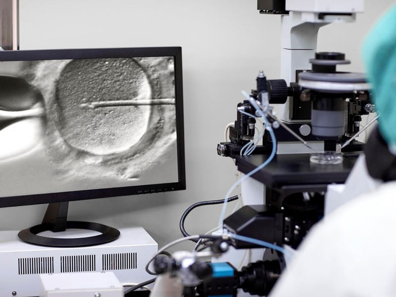 In vitro fertilization of egg magnified on computer screen. A lab technician is looking into the microscope in the foreground.