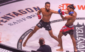 Sanford sports scientists study ways to make MMA safer