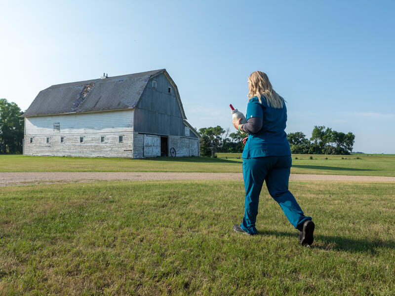 Woman in scrubs walks to barn with milk bottle for calves.