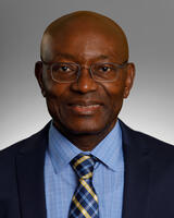 Dr. Ndu David Ugobi portrait