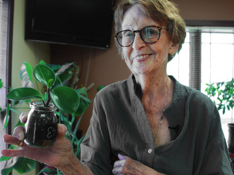 Passion for plants brightens life at Pelican Falls