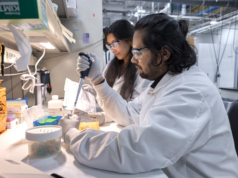 Sanford researchers awarded major grants from NIH