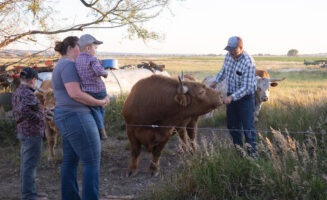 When your toddler’s top phrase is ‘No! I don’t want to!’
