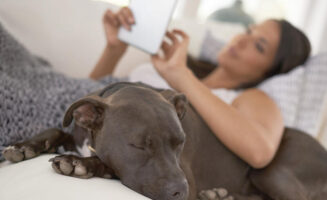 Breast reconstruction during mastectomy surgery