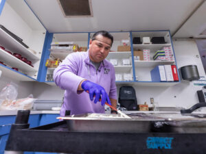 Man in hairnet and gloves ices and cuts a cake in an industrial kitchen.