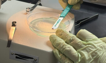 More than 50% of ticks tested in WI study carry Lyme disease