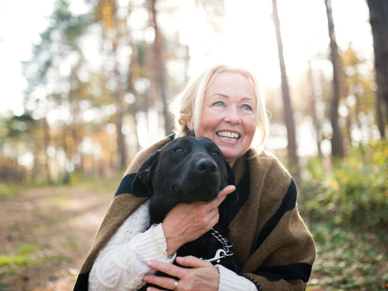 Ticks sought for citizen scientist study